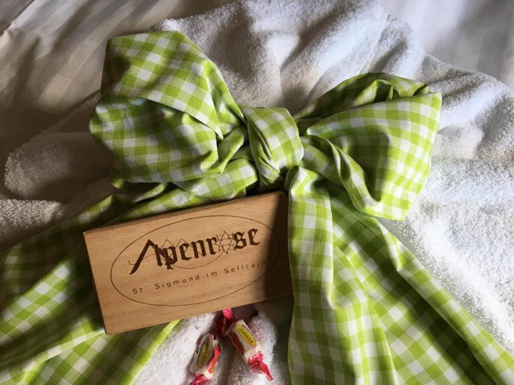 Pension Alpenrose Sankt Sigmund im Sellrain Zewnętrze zdjęcie