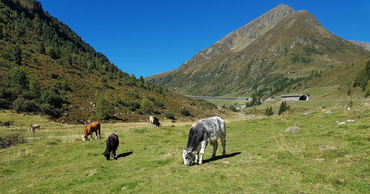 Pension Alpenrose Sankt Sigmund im Sellrain Zewnętrze zdjęcie